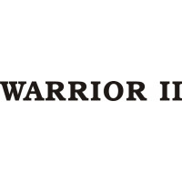 Piper Warrior II Aircraft Logo 