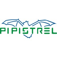 Pipistrel Aircraft Logo Decals