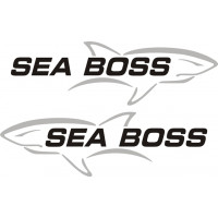 Sea Boss Boat  
