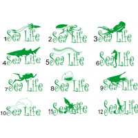 Sea Life 