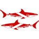 Shark Scuba Diving Logo 