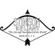 Stinson Reliant decals