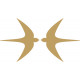 Swift Aircraft decals