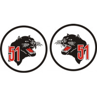 Taktisches Luftwaffengeschwader 51 decal