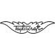 Taylorcraft Aircraft Logo,Emblem 