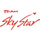 Team Skystar Aircraft decals