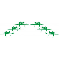 The Monocoupe Bird Aircraft Decals