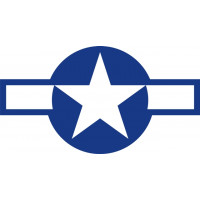 The United States September 1943 - January 1947 Aircraft Insignia Logo 