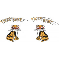 Tiger Baby Aircraft Placard decals