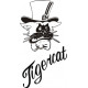 Tigercat Airplane Vinyl Graphics Decal 