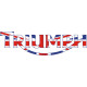 Triumph Script Motorcycle Vinyl Graphics Decal 