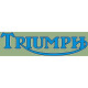 Triumph Motorcycle Decal   
