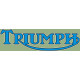 Triumph Script Motorcycle Vinyl Graphics Decal 