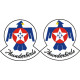 USAF Thunderbirds Aircraft Logo 