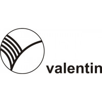Valentine Sailplane/Glider Aircraft Logo 