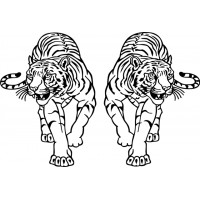 White Tiger Aircraft Fun Stuff Emblem Vinyl Graphics 