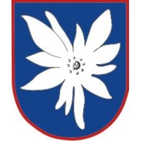 WW2 Luftwaffe KG51 Edelweiss Bullion Insignia  