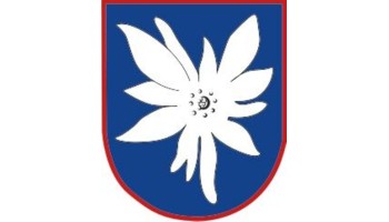 WW2 Luftwaffe KG51 Edelweiss Bullion Insignia  