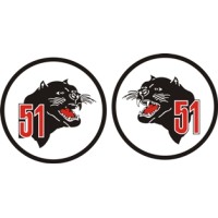 Taktisches Luftwaffengeschwader 51 decal