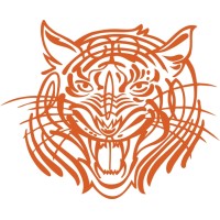 Tiger Head Aircraft Fun Stuff Emblem Vinyl Graphics 