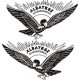 Albatros Scheneidemuhl Aircraft Logo Decal