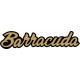 Barracuda Aircraft Logo 