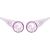 Beechcraft B Aircraft decals