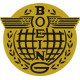 Boeing Globe Wings Aircraft Logo