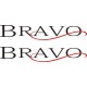 Mooney Bravo Aircraft Logo