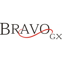 Mooney Bravo GX Aircraft Logo