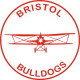 Bristol Bulldogs  Aircraft Logo Graphics,Decal
