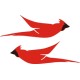 Cessna Cardinal Aircraft Logo,Emblem