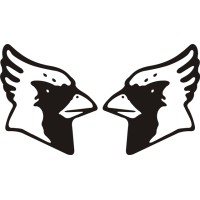 Cessna Cardinal Aircraft,Emblem