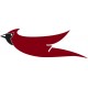 Cessna Cardinal Bird Aircraft Decals
