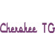 Piper Cherokee TG Aircraft Logo