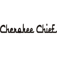 Piper Cherokee Chief Aircraft Logo