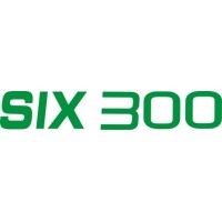 Piper Cherokee Six 300 Aircraft Logo