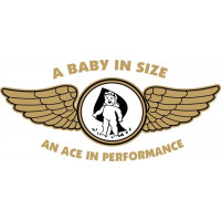 Corben Baby Ace Aircraft Logo