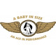 Corben Baby Ace Aircraft Logo