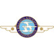 Bellanca Cruisair & Cruisemaster Aircraft Yoke Logo 