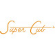 Piper Super Cub Aircraft Logo