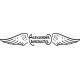 Eagle Rock Aircraft Logo