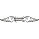 Eagle Rock Aircraft Logo