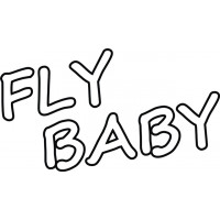 Bowers Fly Baby Aircraft Logo Vinyl Graphics Decal 