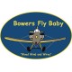 Bowers Fly Baby Aircraft Fuselage Decals