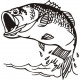 Large-mouth Bass Fish Boat Decal