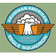Grumman American Eagle Squadron Aircraft Emblem