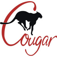 Grumman Cougar Aircraft Logo