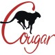Grumman Cougar Aircraft Logo