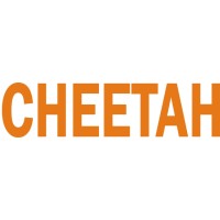 Grumman Cheetah Aircraft Logo